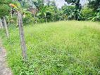 350m to Colombo road quality land for sale in Gampaha imbulgoda