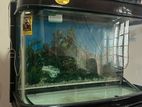 3.5ft Fish Tank