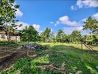 35perch land for sale in jambugahawatta, katana