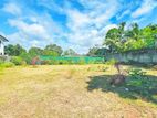 36 P Lands for Sale in Moratuwa Rawathawatta - 150m to Galle Road