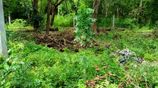 36 Perches Land for Sale – Tangalle,Rekawa