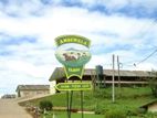 360' View Land for Sale Nuwara Eliya