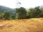 360P Bare Land for Sale in Kottagahaarawa, Ebulgoda, Badulla (SL 14514)