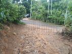 3.65 Acres Cinnamon Land With Oil Boiler For Sell in Kamburupitiya