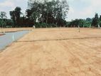 366 Road Facing Land for Sale Homagama