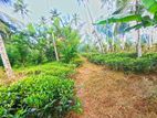 367 Perches Scenic Land for Sale in Ahangama