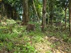 36p Land For Sale in Peradeniya Town (500m to town)