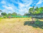 36P Prestigious Land For Sale In Moratuwa Rawathawatta