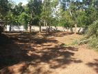 37 PERCH LAND FOR SALE in HAMBANTOTA AUSTONHARASPARA