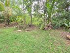 37 Perch / Land For Sale in Payagala Pambe