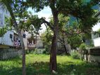 37 Perches Land For rent in Colombo 06 - CP5258