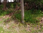 37.8 Perch Land for Sale in Kandawala