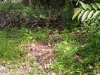 37.8 Perch Land for Sale Kandawala, Katana