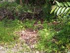 37.8perch land for sale in kandawala, katana