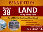 37P Land Facing Paddy Field, Walking Distance to High Level, Pannipitiya