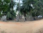 38 Perch Land for Sale Alavakkai