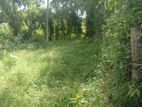 38 Perches Bare Land for Sale in Belummahara, Mudungoda.