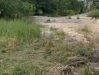380 Perchers Land For Sale in Seeduwa (SSPL-406)
