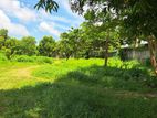 380 Perches Land for Sale at Ekala- Ja-Ela