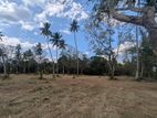 382P Agricultural Land – Near Bamunakotuwa