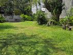 38.4 P Land for Sale Near Mosque in Waidya Rd Dehiwala