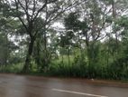 Land for Sale in Madawala Ulpatha, Matale