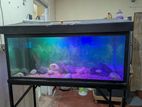 3F Fish Tank With Stand