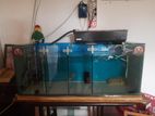 3 Feet Fish Tank