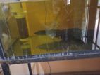 3 Feet Fish Tank Set