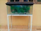 3feet Fish Tank with Light