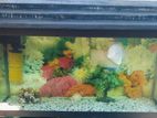3feet Fish Tank with Stand
