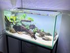 3ft 10mm Rimless Full Set Fish Tank