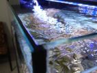 3ft Marine Fish Tank full set