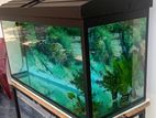 3ft Aquarium Fish Tank – 168L