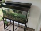 3FT Complete Aquarium Set