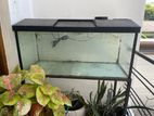 3ft Fish Tank