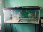 3ft Fish Tank