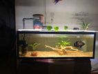 3ft Fish Tank with