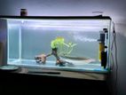 3ft Fish Tank with Accessories
