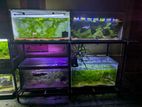 3ft Fish Tank Set