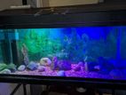 3 Ft Fish Tank with Stand