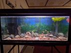 Fish Tank with Stand