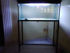 Fish Tank Full Set