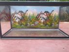 3×15×15 Fish Tank