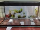 3×15×15 Fish Tank Brand New