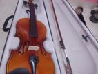 Violin