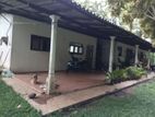 4+ Acre Agricultural Estate with 5-Bedroom House for Sale – Kurunegala