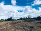 4 Acre Bare Land for Sale in Anamaduwa