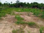 4 Acre Bare Land for Sale in Wattala