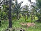 4 Acre Coconut Land for Sale at Kurunegala